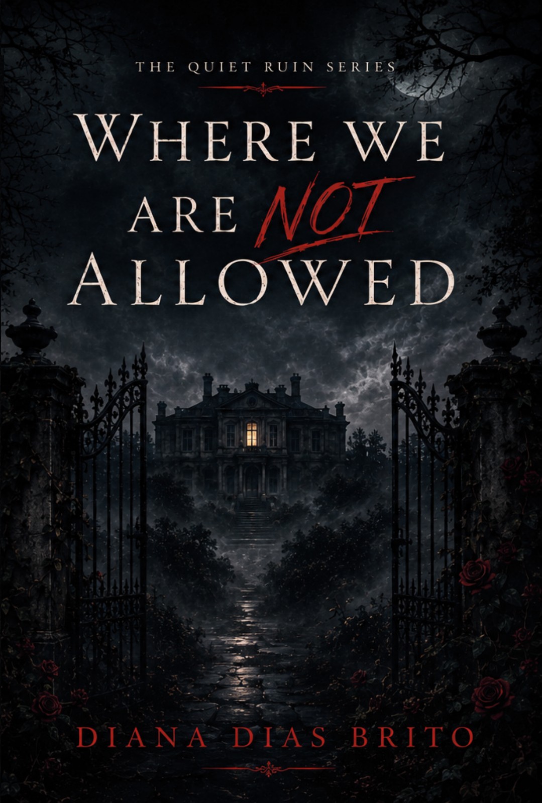 Where We Are Not Allowed Kindle cover